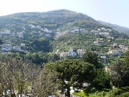 Benvenuto Limos and Private Tours