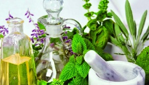 The Organic Spa