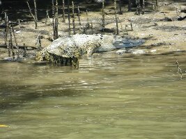 Trek North Safaris - Day Tours