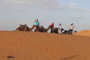 Authentic Berber Tours