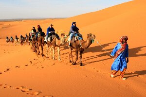 Camel Trekking Excursions