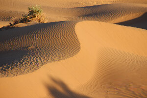 Trek Morocco Desert