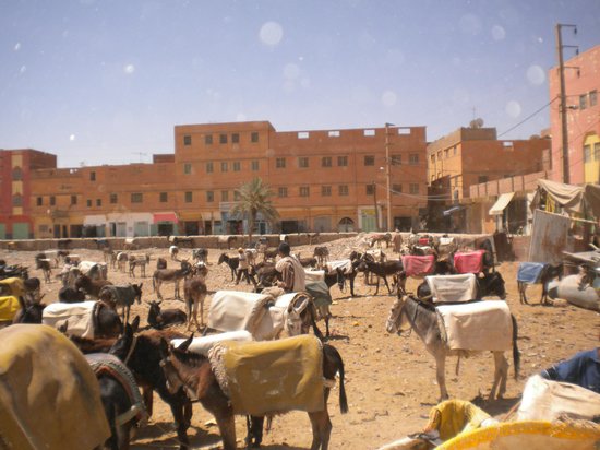 Rove Morocco Travels