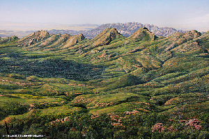 Wilpena Panorama