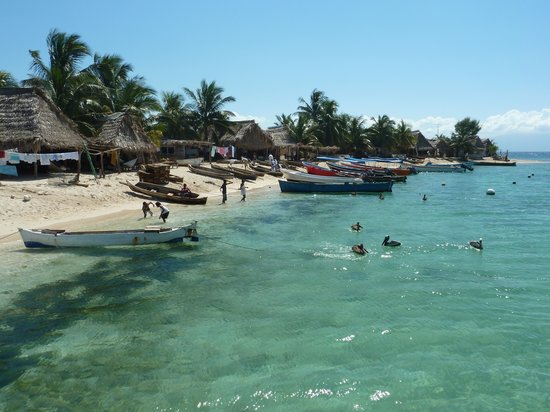 West Bay Tours - Private Tours