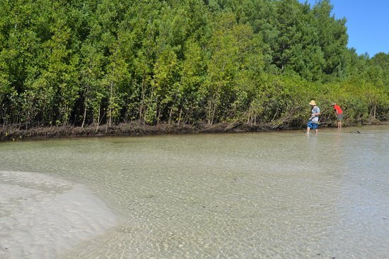Brian Lee Hunters Creek Tagalong Tours