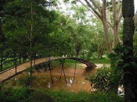 Jardin Botanico Santa Cruz