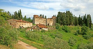 Castello del Trebbio