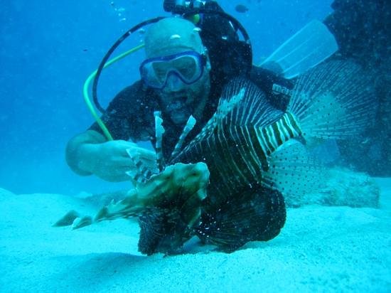 Pro Dive Mauritius