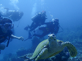 Ranong Thailand Dive