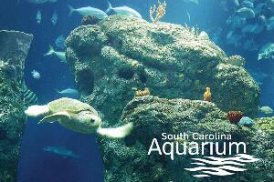 Charleston United States Aquarium