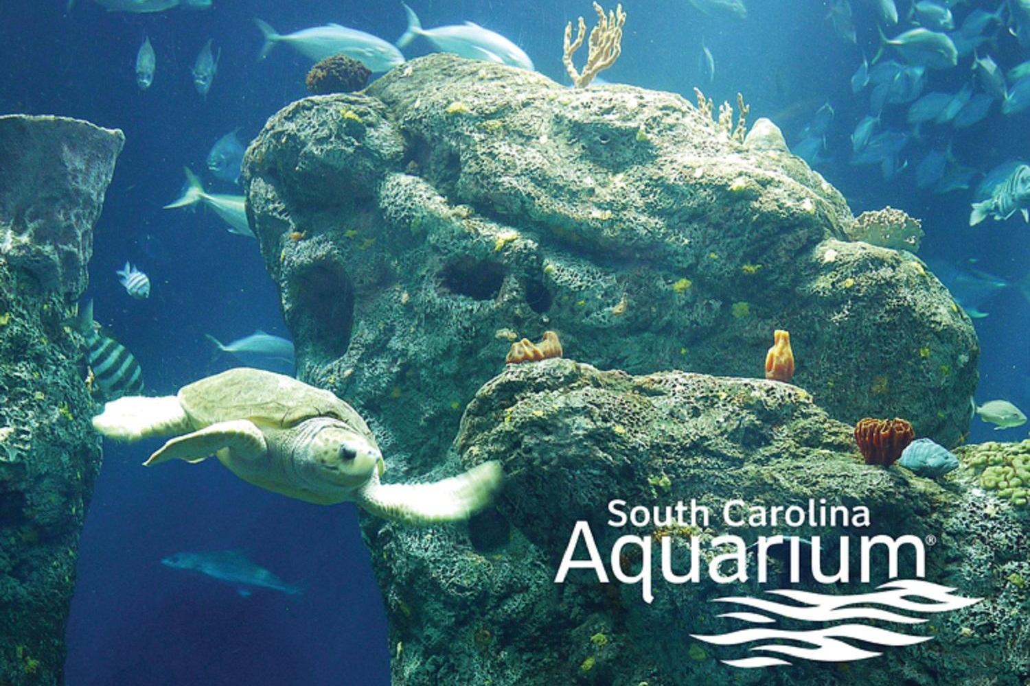 South Carolina Aquarium