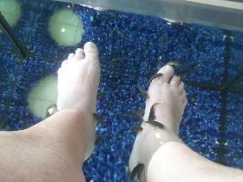 Zensation - Body and Soul Spa