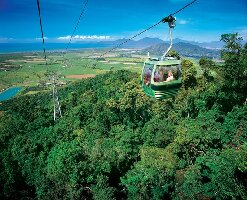 Skyrail Rainforest Cableway