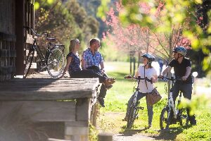 Bright Electric Bikes