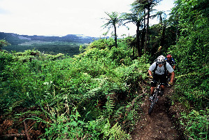 Kawerau New Zealand Mountain