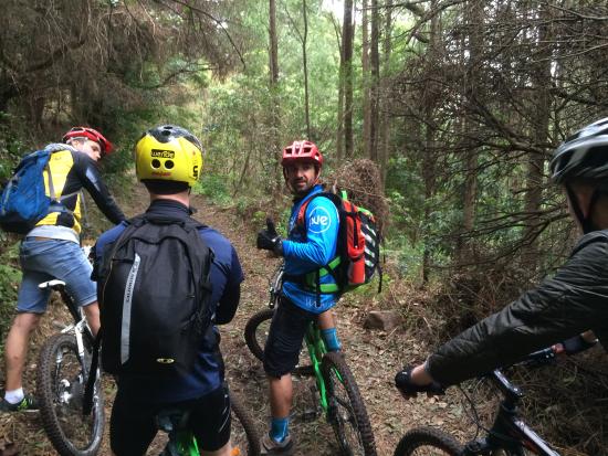 WERIDE Mountain Bike Tours