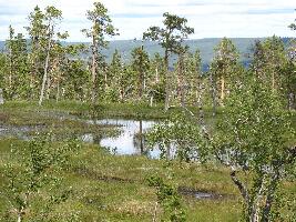 Sweden Sweden National Park