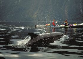 Manapouri New Zealand Kayak