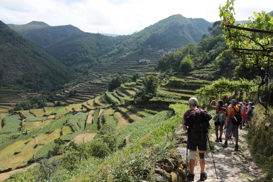 Portugal Green Walks - One Day Tours