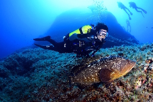 Palafrugell Spain Snorkel