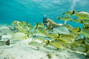 Belize Master Tours