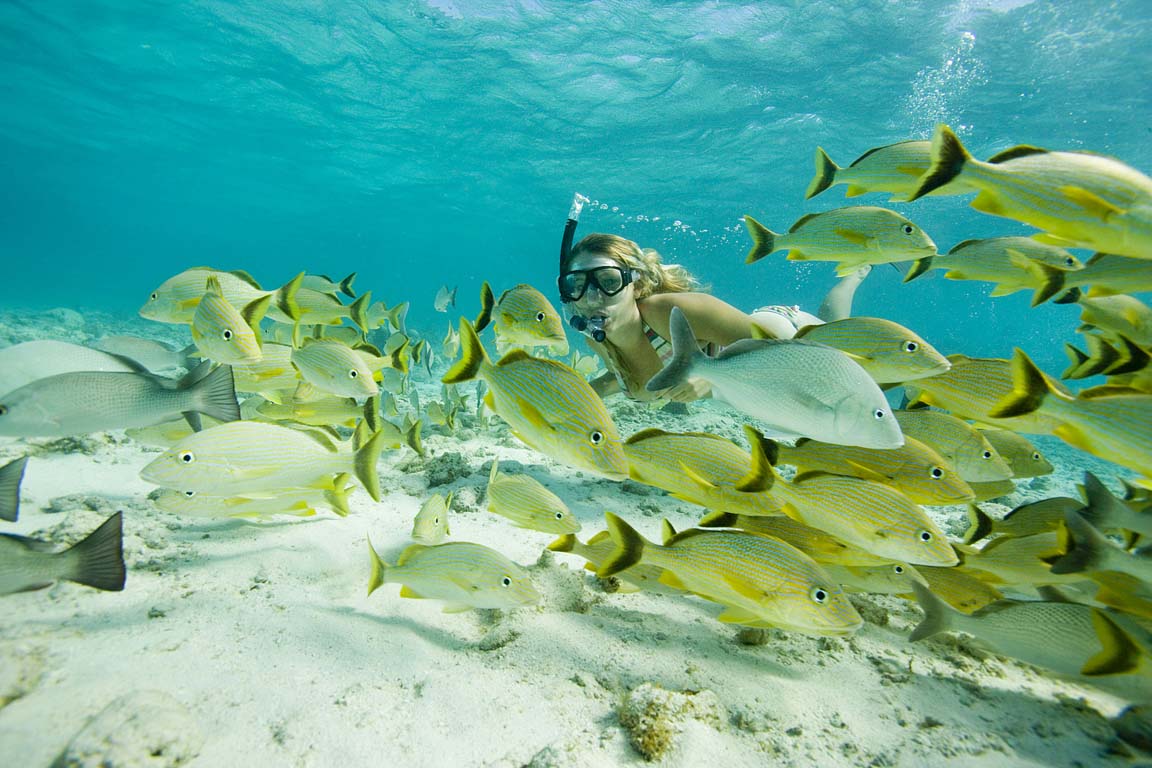 Belize Master Tours