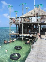The Dive Bar