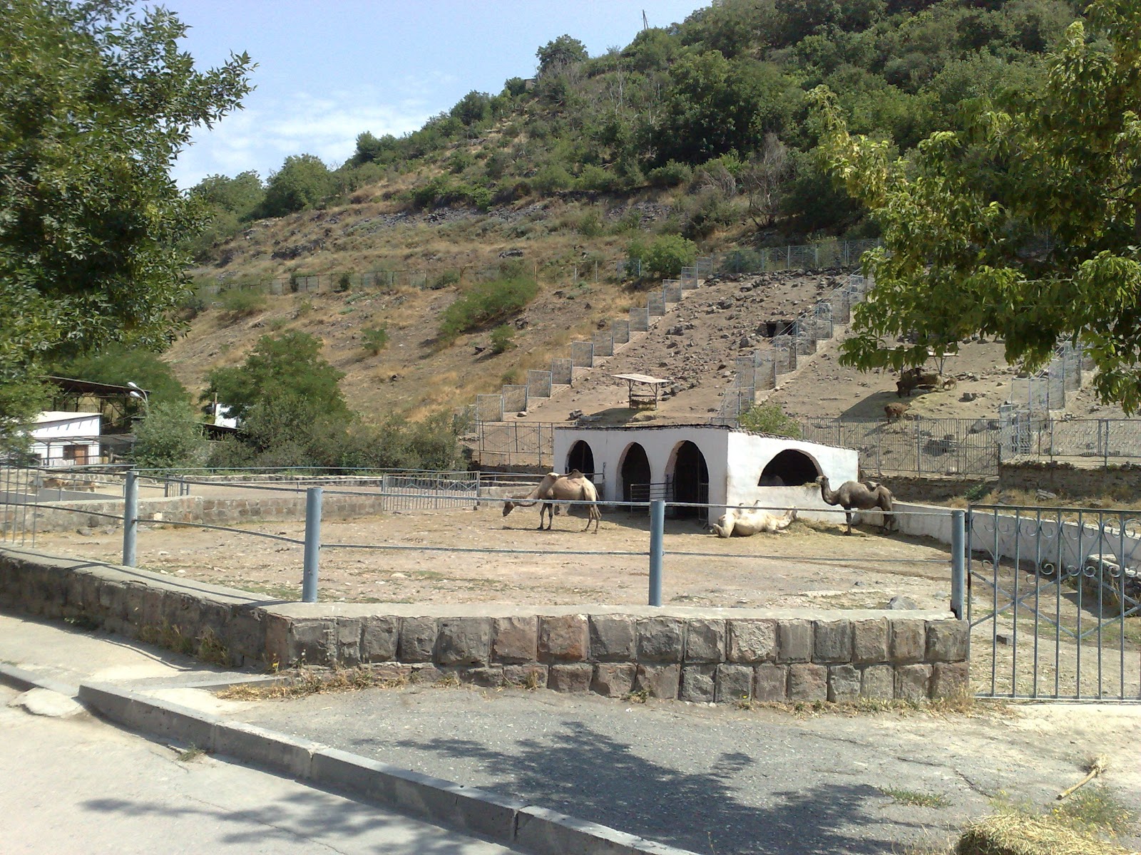 Yerevan Zoo