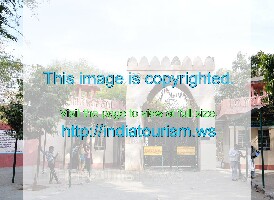 Jaipur India Zoo