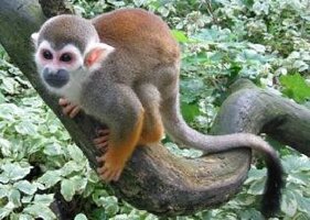 Peterborough Canada Park