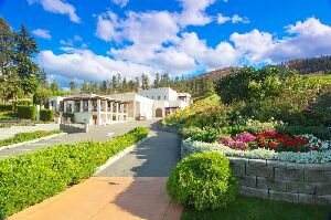 CedarCreek Estate Winery