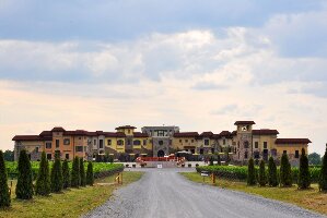 Ontario Canada Winery