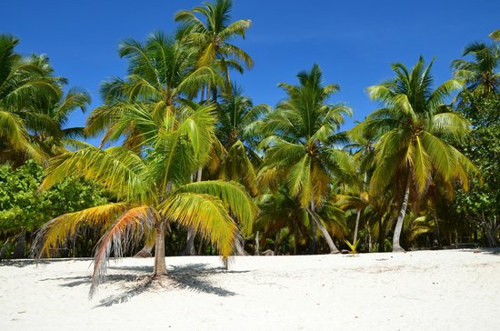 See More Tourism Excursiones - Tours