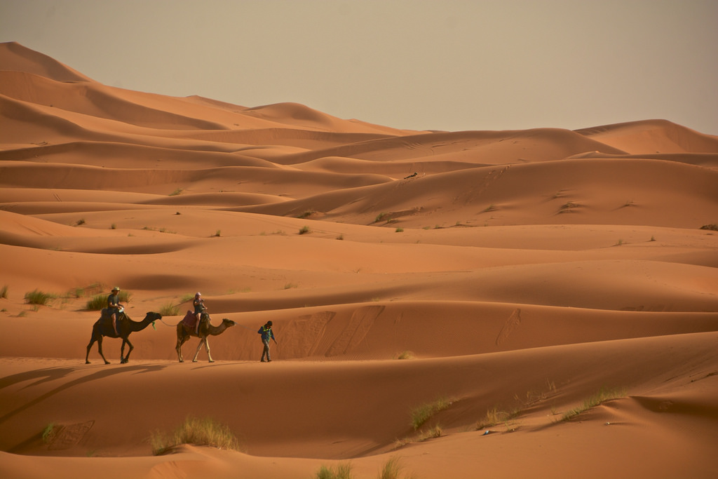 Trekking in Morocco
