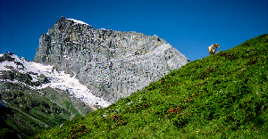 Mount Titlis
