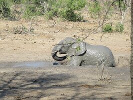 Wolhuter Wilderness Trail