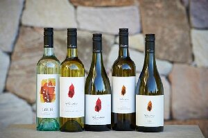Dunsborough Australia Wine Tasting