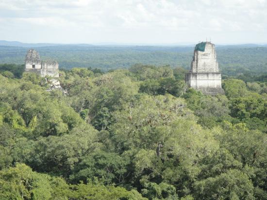 Gray Line Guatemala