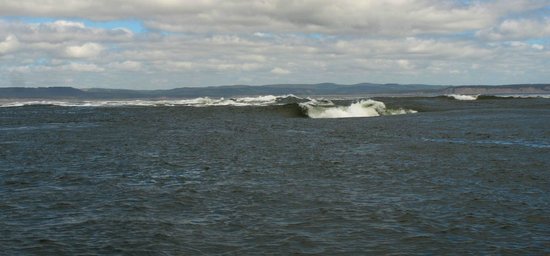 Advocate Boat Tours