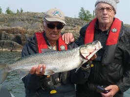 Bluefish Services - Tours