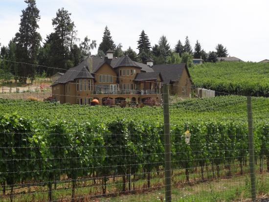 Sip Happens Wine Tours
