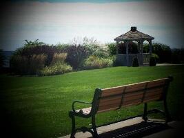 New Haven United States Walking Tour