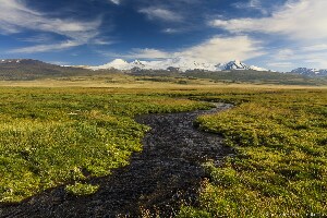 Russia Plateau