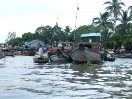 Water Buffalo Private Day Tours