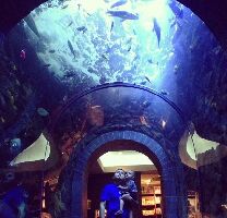 Dallas United States Aquarium