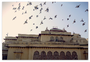 Rambagh Palace