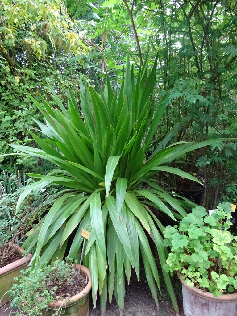 Botanic Garden Meise