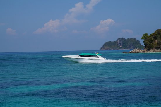 V. Marine Tour
