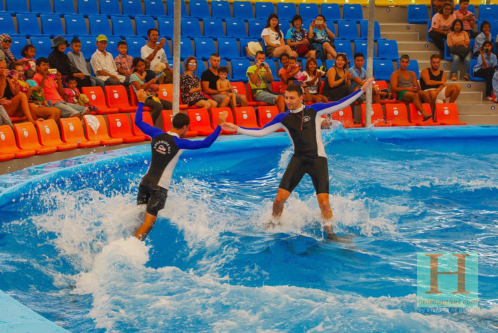 Dolphins Bay Nemo Phuket